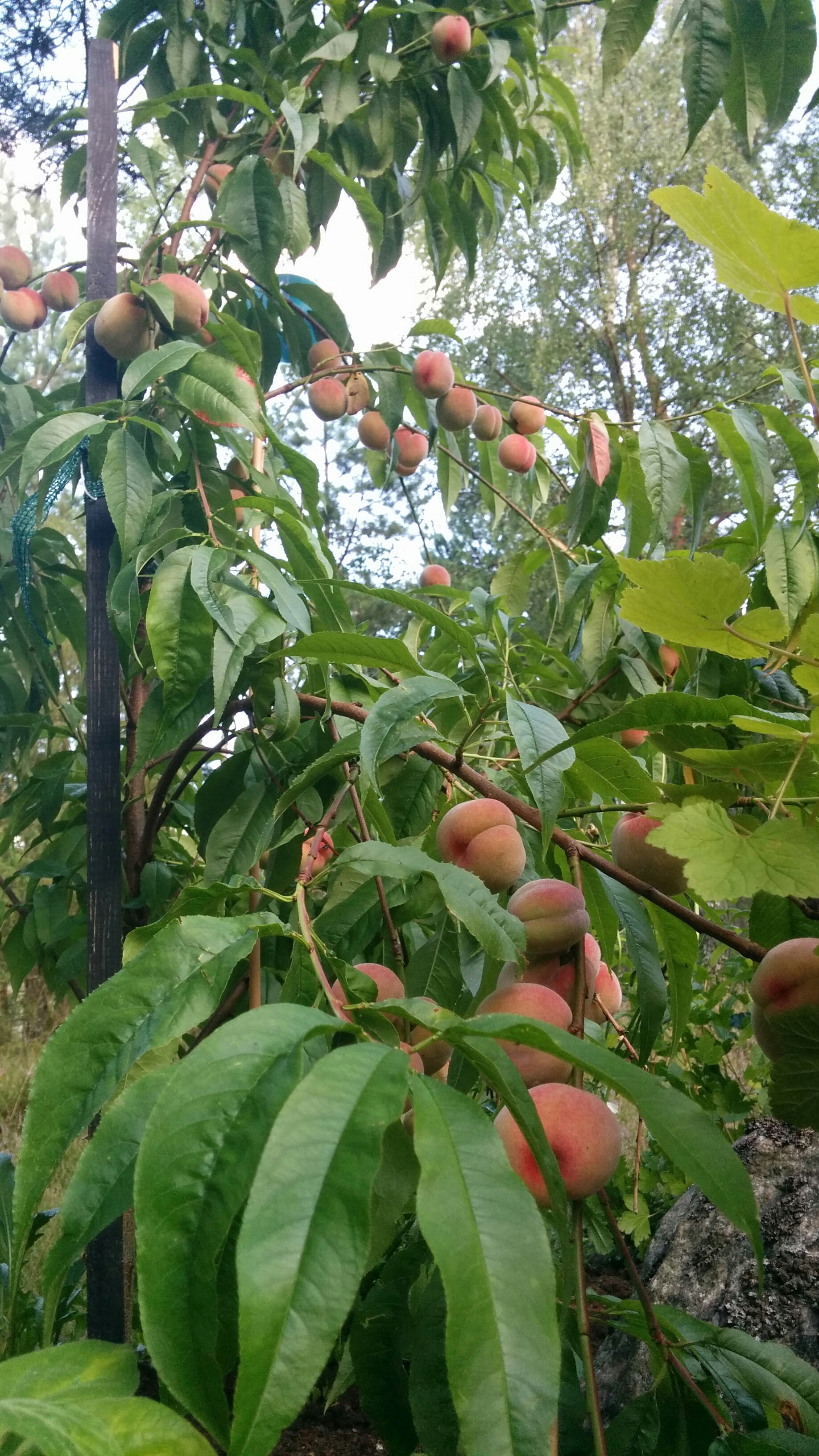 00475048-E651-4496-BFA2-AE651918CEA4