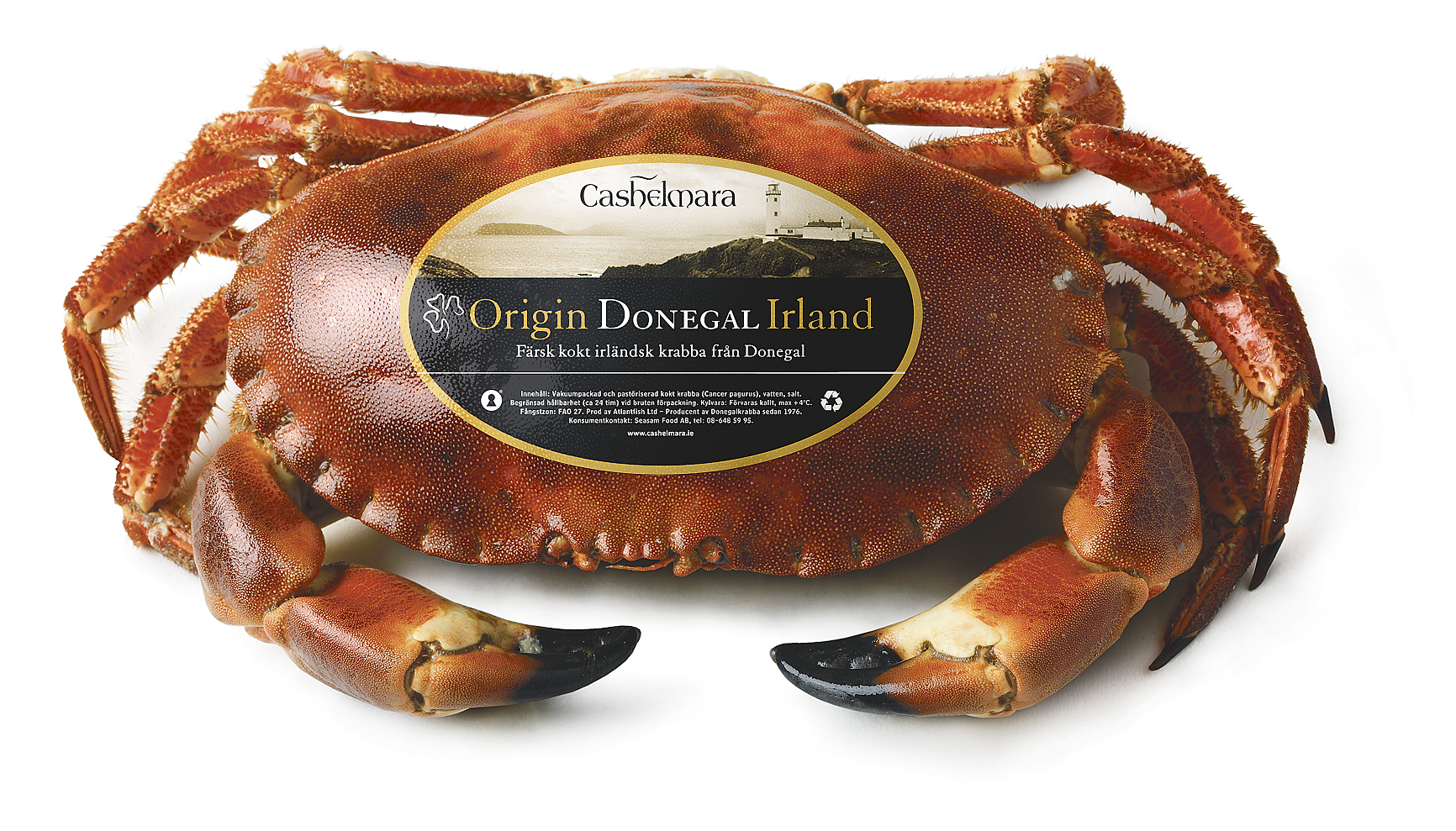 Cashelmara-Crab